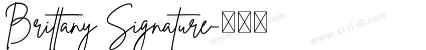 Brittany Signature字体转换